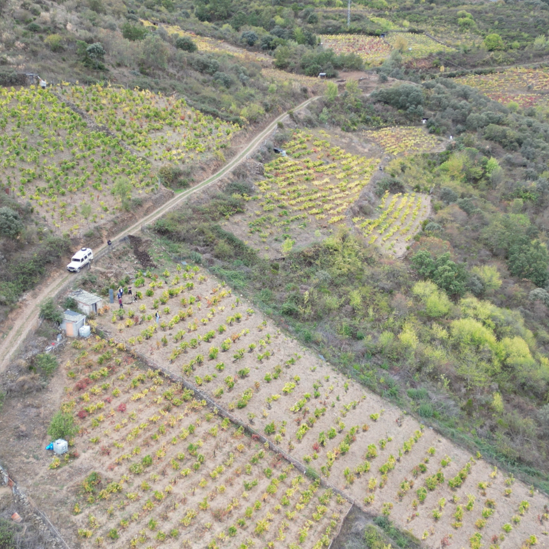 Experiencia Bierzo - Médulas con Comida y Alojamiento