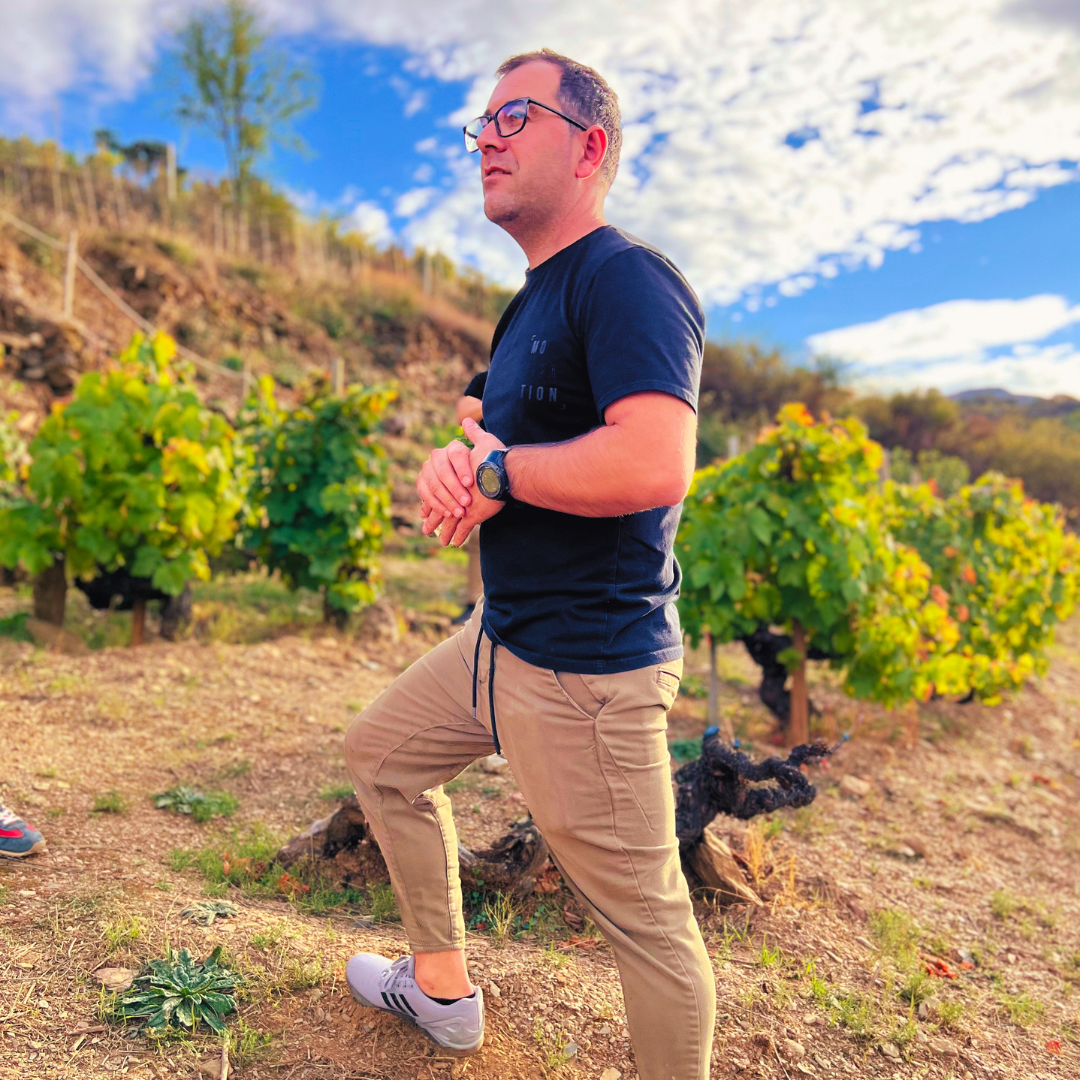 Heroic Viticulture Experience