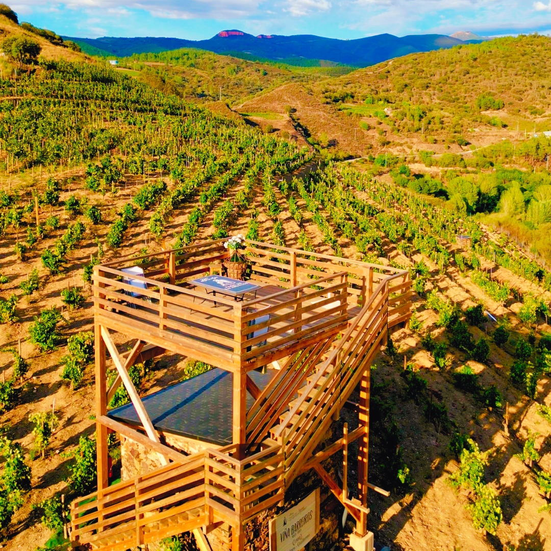 Heroic Viticulture Experience