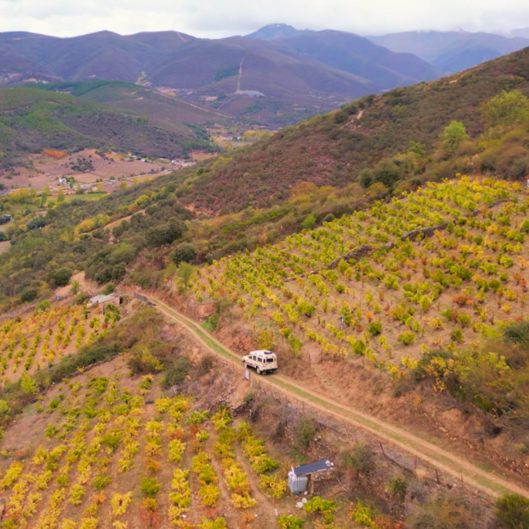 Heroic Viticulture Experience