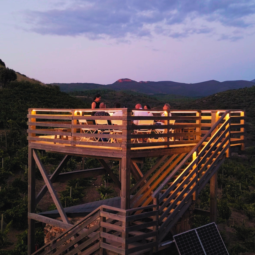 Experiencia de Enoturismo Personalizable