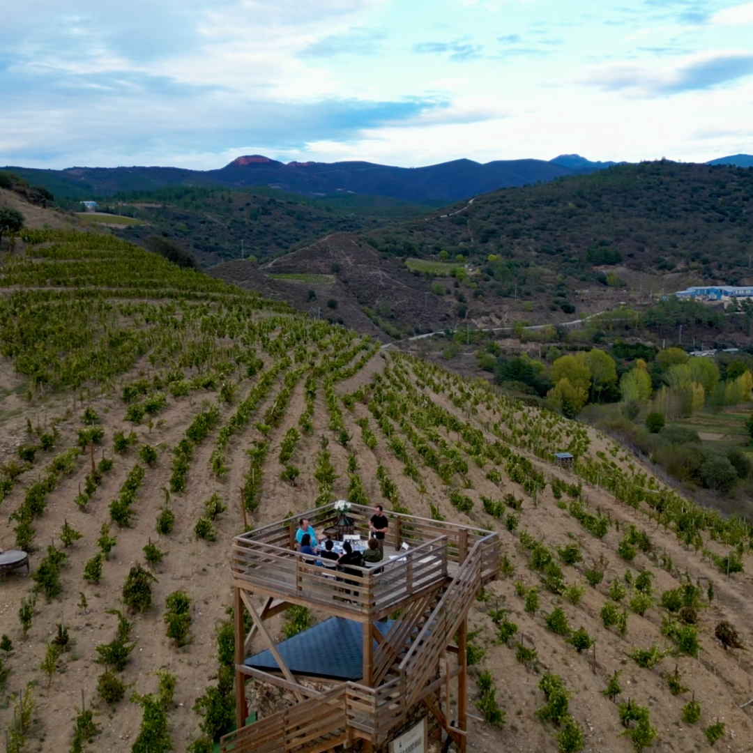 Visita enoturistica en el Bierzo